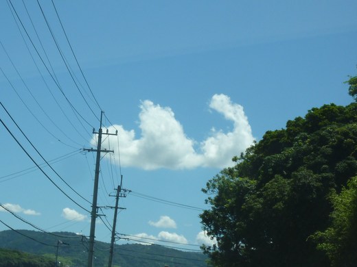 e0178225_6523654.jpg