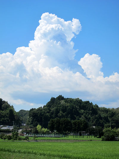 f0147025_2373838.jpg