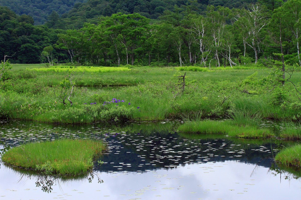 c0104227_10502345.jpg