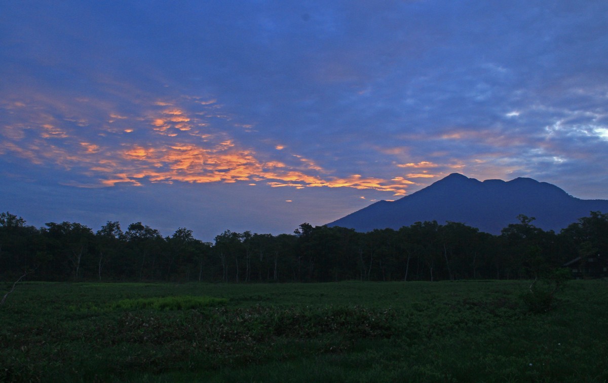 c0104227_10584841.jpg
