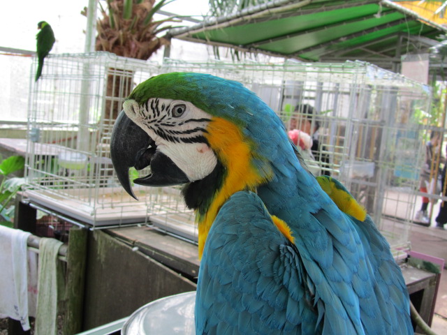 e0107730_21405467.jpg