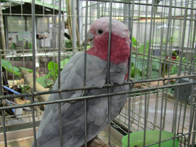 e0107730_21412481.jpg