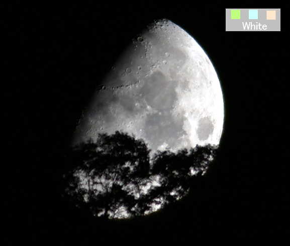 c0227134_547322.jpg