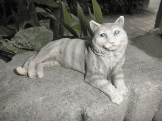 c0136736_171038100.gif