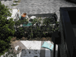 c0136736_1720337.gif