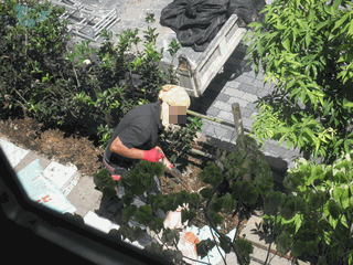 c0136736_17205867.gif