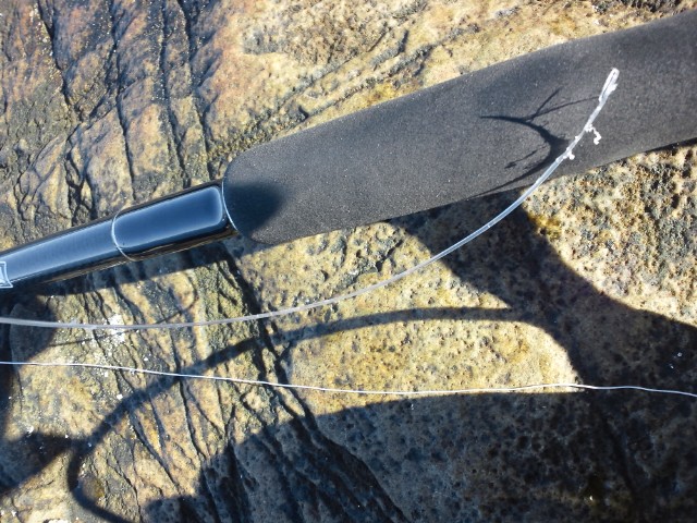 f0009238_22204513.jpg