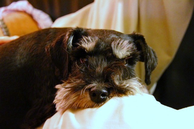 c0153740_0262620.jpg