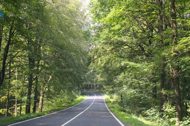 c0153740_16154580.jpg