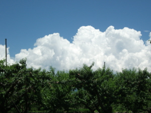 d0194741_20281241.jpg