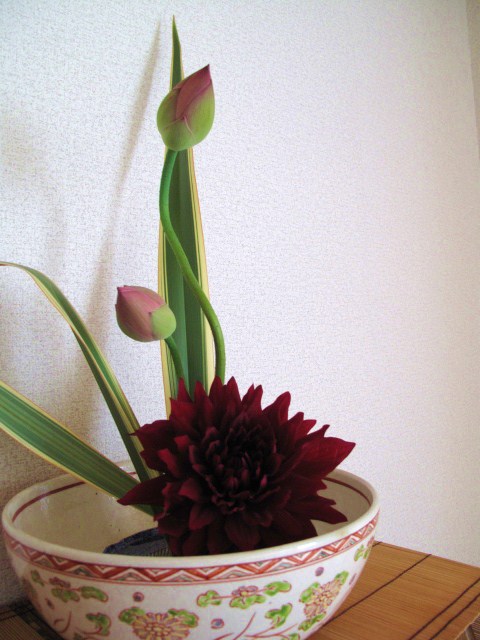 d0097144_15301357.jpg