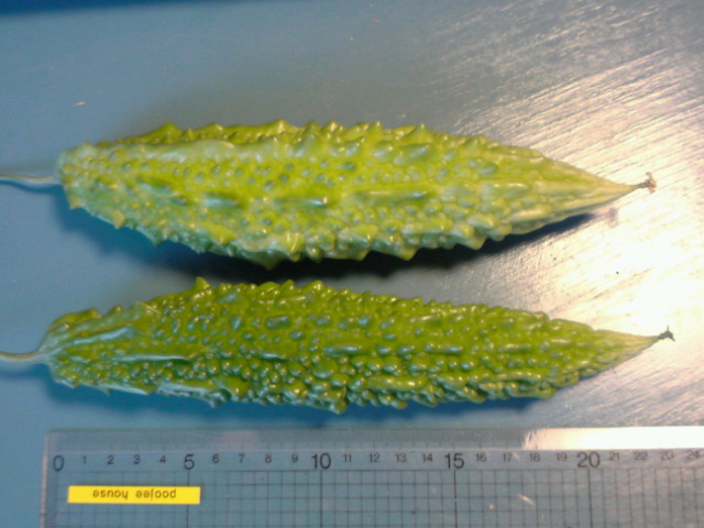 c0189747_049582.jpg