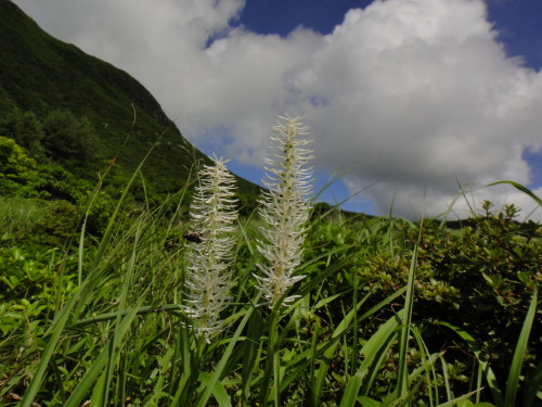 c0179351_1423826.jpg