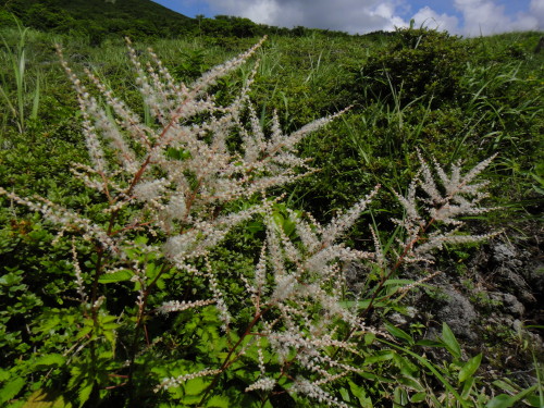 c0179351_1424189.jpg