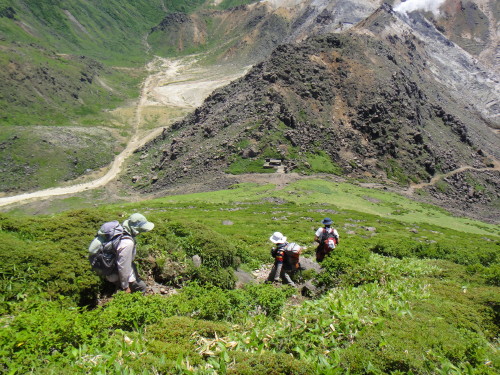 c0179351_1446142.jpg