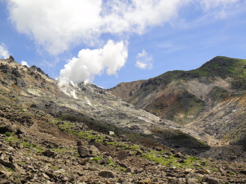 c0179351_1447574.jpg