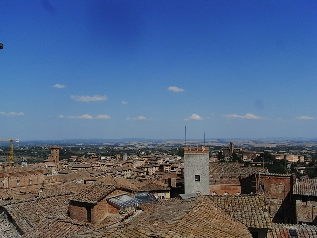 f0178153_78657.jpg