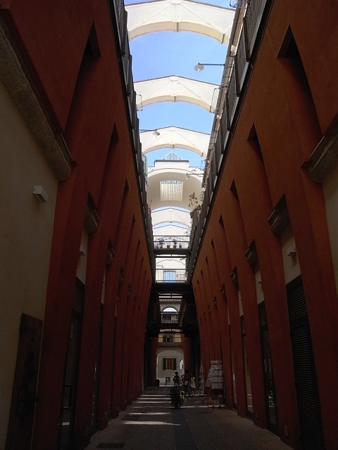f0178153_792725.jpg