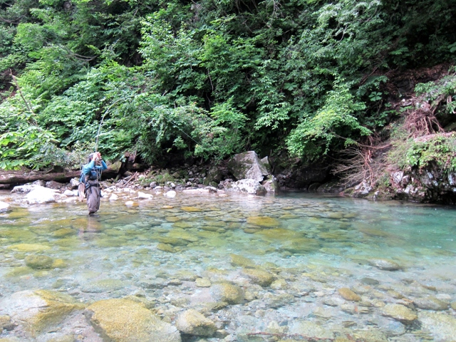 b0177355_1343515.jpg
