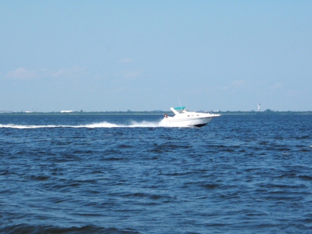 d0107660_7192273.jpg