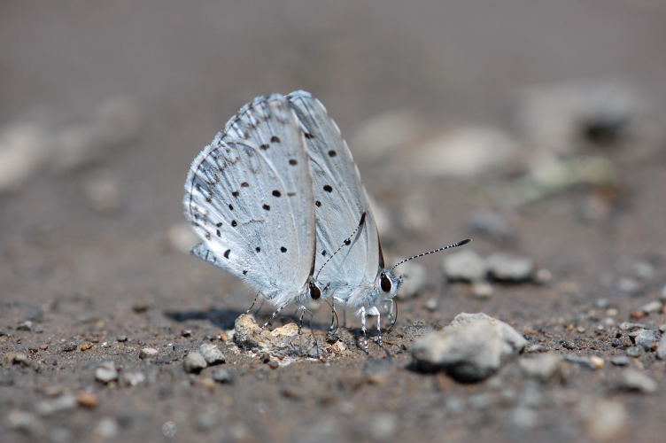 b0167762_22473655.jpg