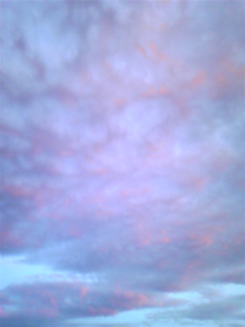 e0058665_8542650.jpg