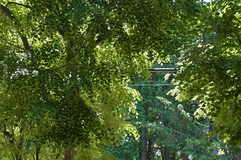 e0100772_23282529.jpg