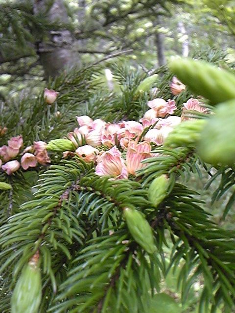 e0118274_2152872.jpg