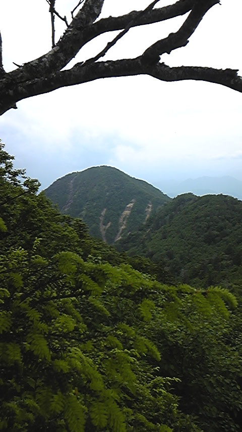 e0118274_21535692.jpg