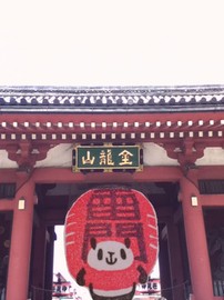 f0049479_20175713.jpg