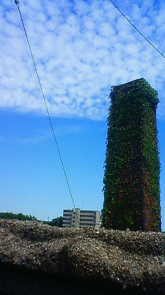 c0107180_22481317.jpg