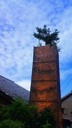 c0107180_22483675.jpg