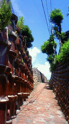 c0107180_22503042.jpg