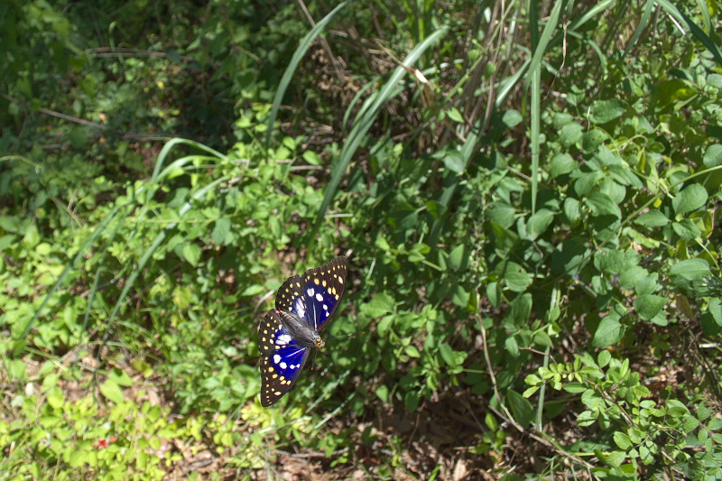 f0090680_21231338.jpg