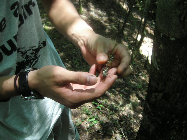 c0145582_132203.jpg