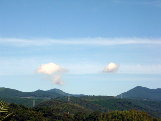 c0125283_8455676.jpg