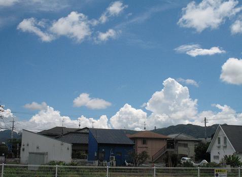 e0130185_1422768.jpg