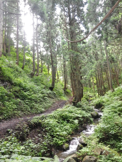 d0177286_104136.jpg