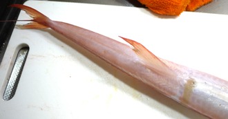 b0068687_23422567.jpg