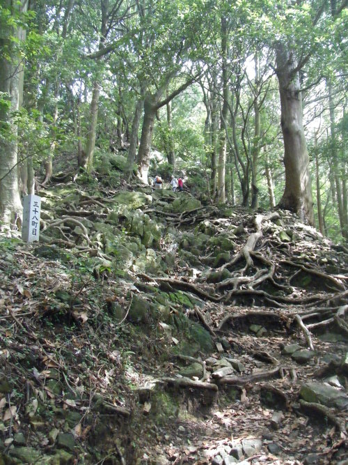 c0092787_1184485.jpg