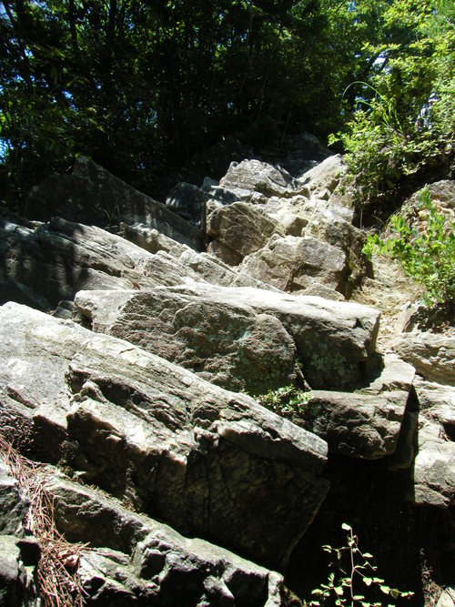 c0092787_118982.jpg