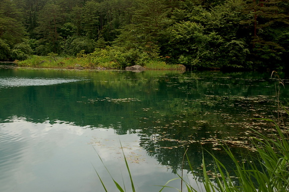 b0203588_6435169.jpg