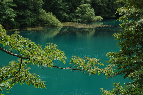 b0203588_645156.jpg