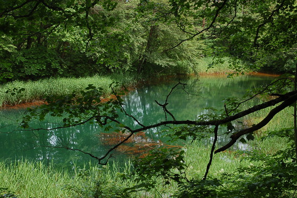 b0203588_6541291.jpg