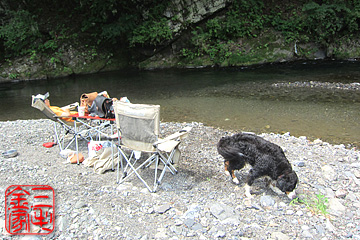 b0169489_15465667.jpg