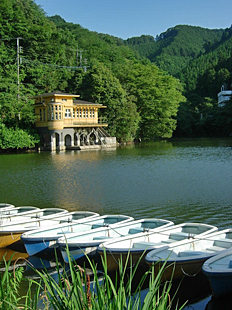 f0077789_1142195.jpg