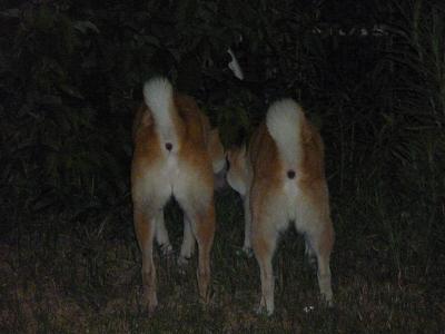 c0123890_2295281.jpg