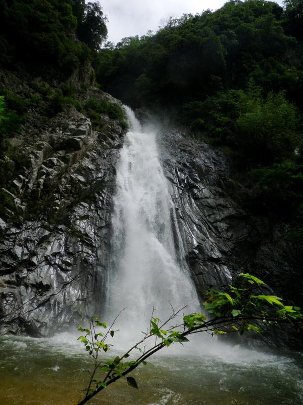 c0190391_222223.jpg