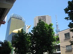 d0159691_1459182.jpg