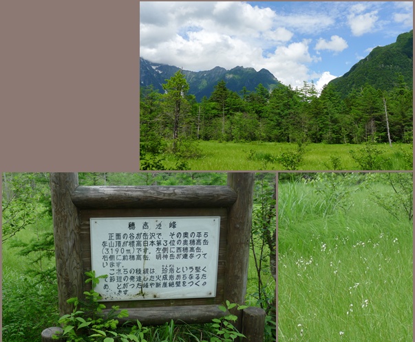e0040092_23292848.jpg